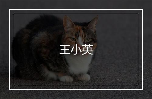 王小英