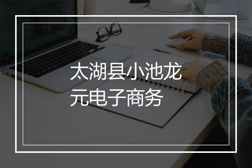 太湖县小池龙元电子商务