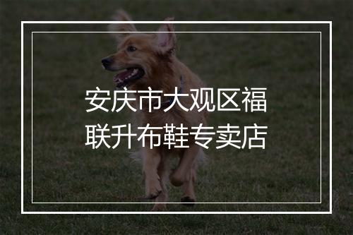 安庆市大观区福联升布鞋专卖店