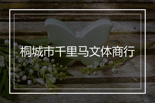 桐城市千里马文体商行
