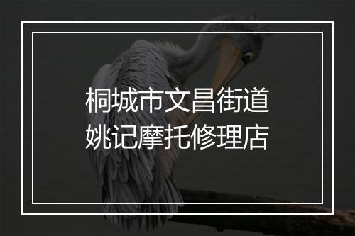 桐城市文昌街道姚记摩托修理店