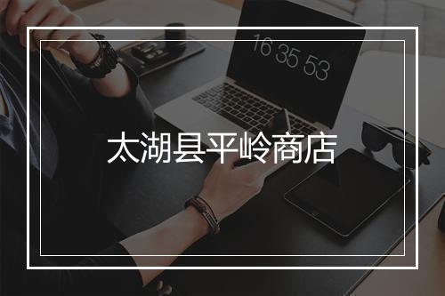 太湖县平岭商店
