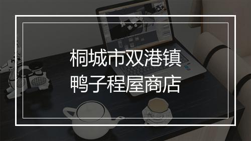 桐城市双港镇鸭子程屋商店