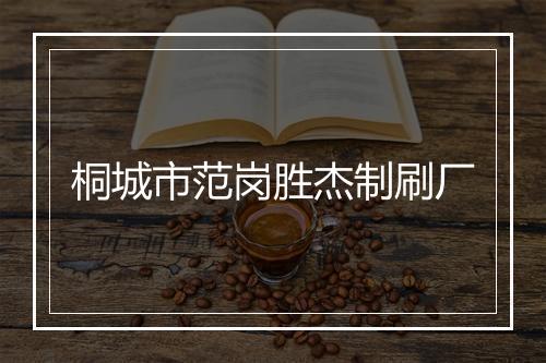 桐城市范岗胜杰制刷厂