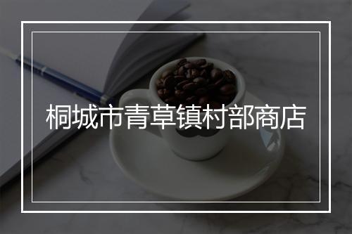 桐城市青草镇村部商店