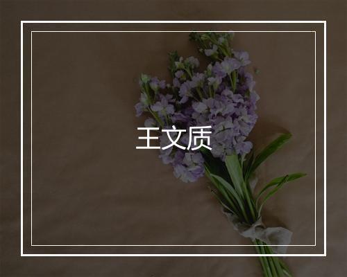 王文质