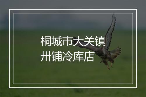 桐城市大关镇卅铺冷库店