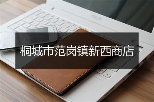 桐城市范岗镇新西商店