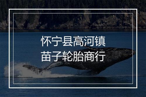 怀宁县高河镇苗子轮胎商行
