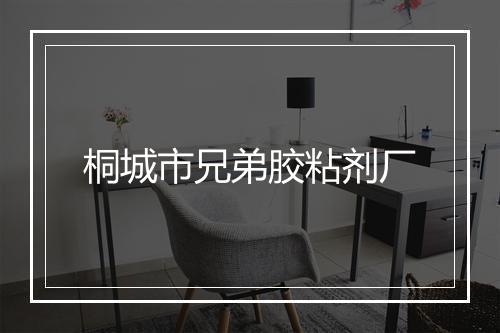 桐城市兄弟胶粘剂厂