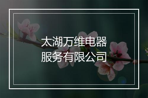 太湖万维电器服务有限公司