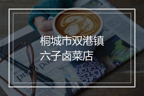 桐城市双港镇六子卤菜店