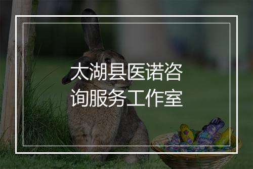 太湖县医诺咨询服务工作室