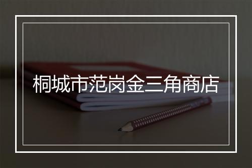 桐城市范岗金三角商店