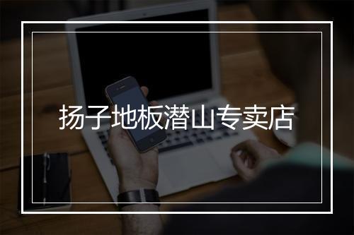 扬子地板潜山专卖店