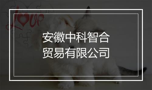 安徽中科智合贸易有限公司