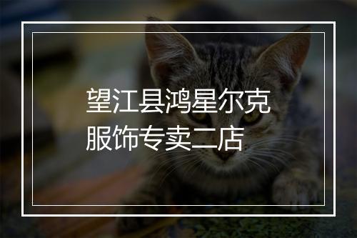 望江县鸿星尔克服饰专卖二店