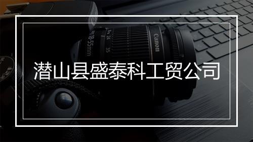 潜山县盛泰科工贸公司