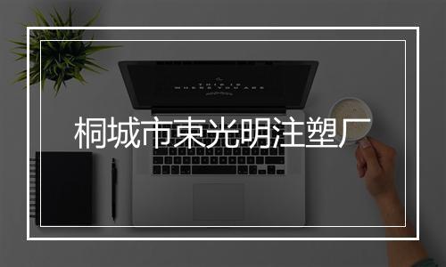 桐城市束光明注塑厂