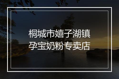 桐城市嬉子湖镇孕宝奶粉专卖店