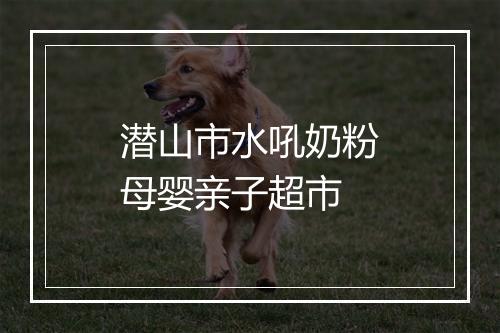 潜山市水吼奶粉母婴亲子超市