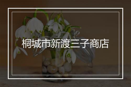 桐城市新渡三子商店