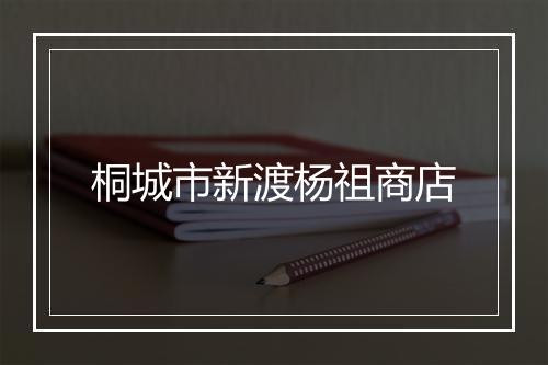 桐城市新渡杨祖商店