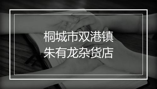 桐城市双港镇朱有龙杂货店