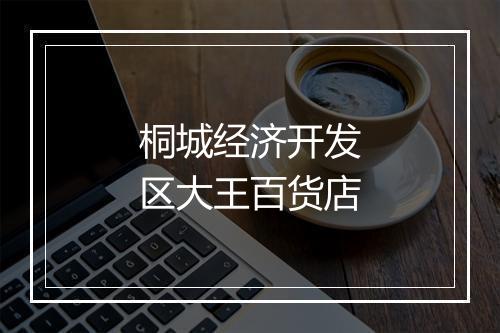 桐城经济开发区大王百货店