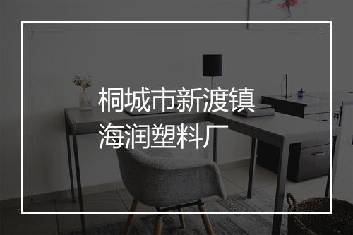 桐城市新渡镇海润塑料厂