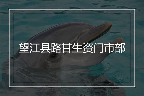 望江县路甘生资门市部