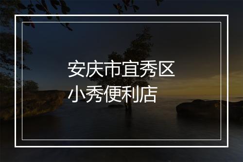 安庆市宜秀区小秀便利店