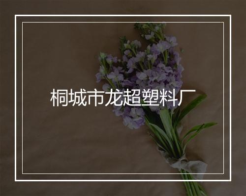 桐城市龙超塑料厂