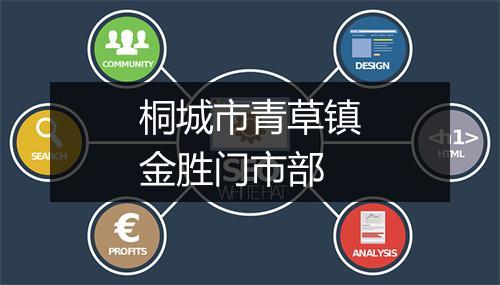 桐城市青草镇金胜门市部