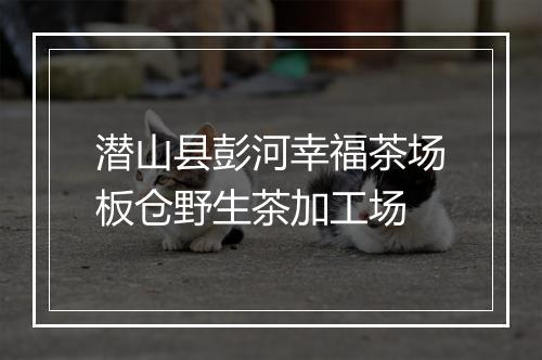潜山县彭河幸福茶场板仓野生茶加工场