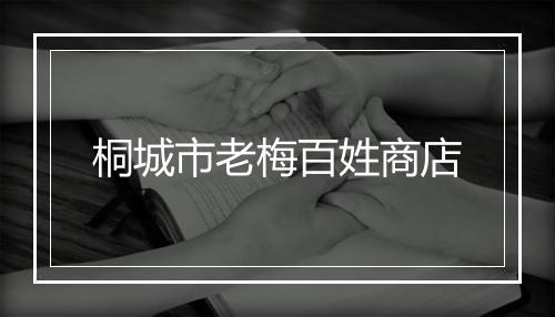桐城市老梅百姓商店