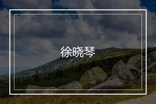 徐晓琴