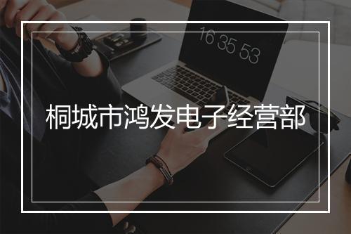 桐城市鸿发电子经营部