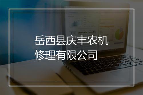 岳西县庆丰农机修理有限公司