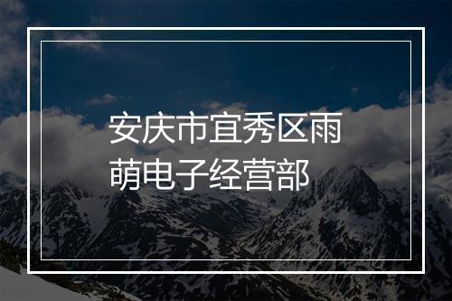 安庆市宜秀区雨萌电子经营部