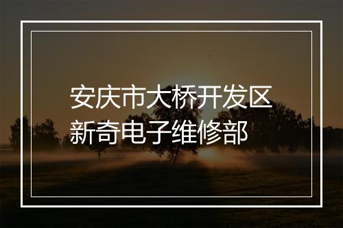 安庆市大桥开发区新奇电子维修部