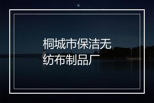 桐城市保洁无纺布制品厂