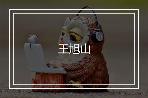 王旭山