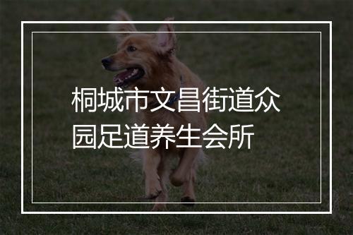 桐城市文昌街道众园足道养生会所
