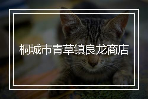 桐城市青草镇良龙商店