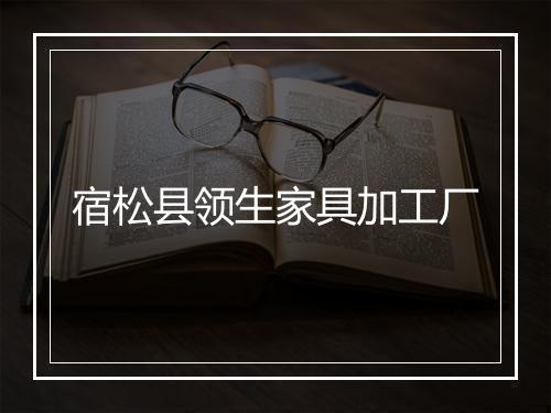 宿松县领生家具加工厂