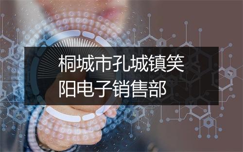 桐城市孔城镇笑阳电子销售部