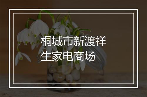 桐城市新渡祥生家电商场