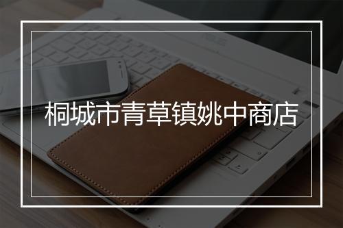 桐城市青草镇姚中商店