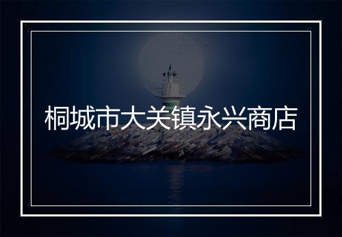 桐城市大关镇永兴商店